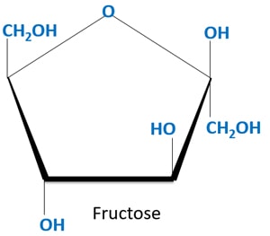 fructose molecule